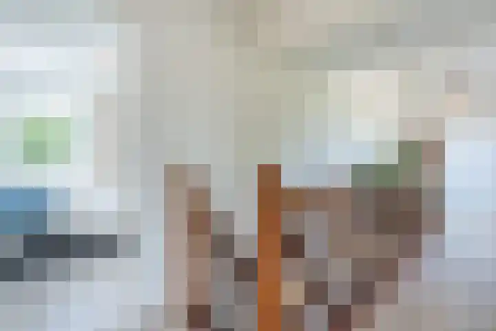 Lijnland 2 Vledder thumbnail 30
