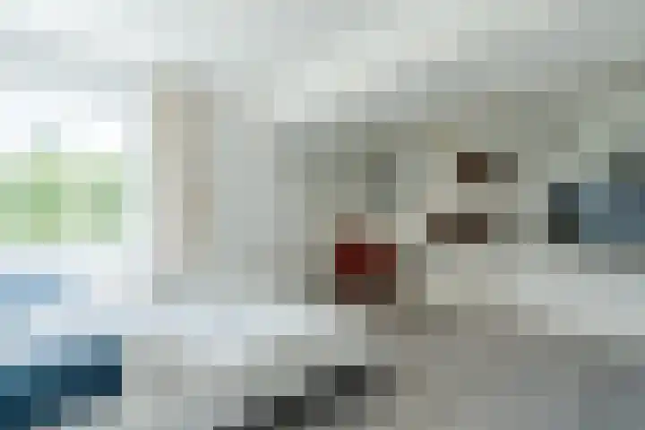 Lijnland 2 Vledder thumbnail 31