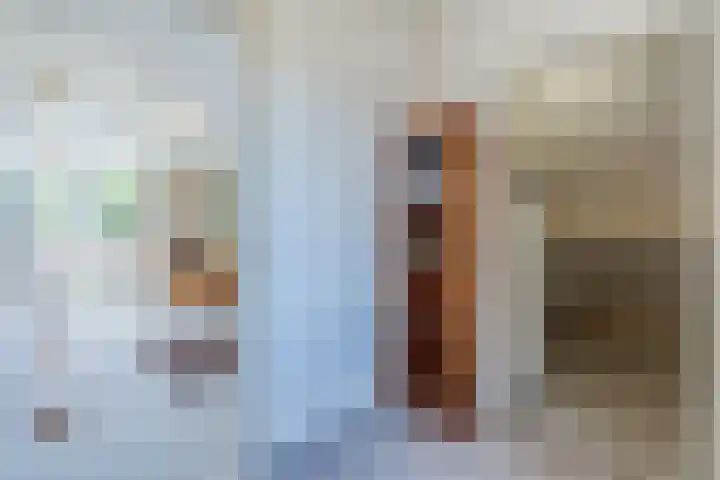 Lijnland 2 Vledder thumbnail 32