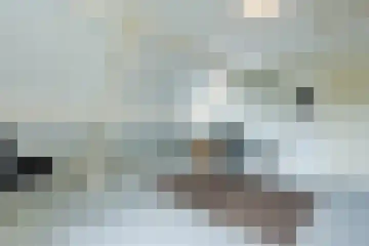 Lijnland 2 Vledder thumbnail 33