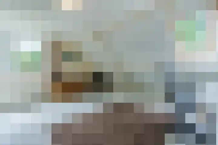 Lijnland 2 Vledder thumbnail 34