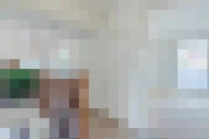 Lijnland 2 Vledder thumbnail 35