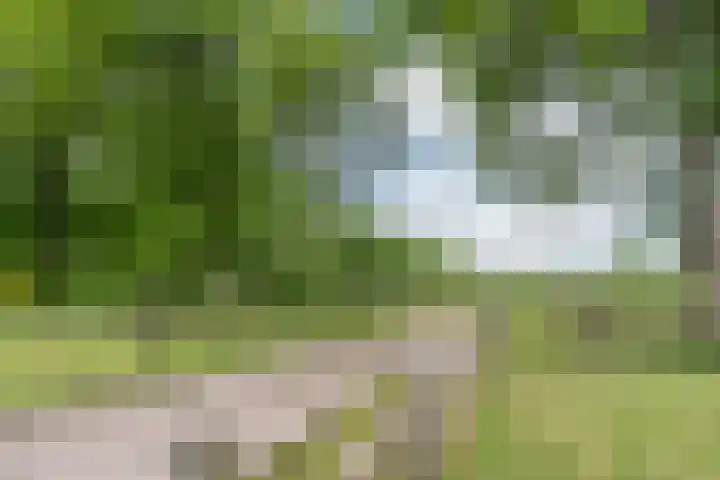 Lijnland 2 Vledder thumbnail 38