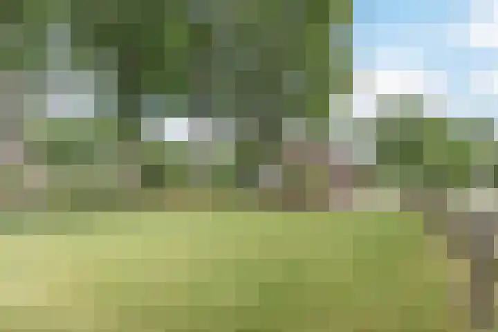 Lijnland 2 Vledder thumbnail 40