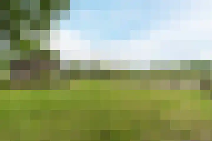 Lijnland 2 Vledder thumbnail 41