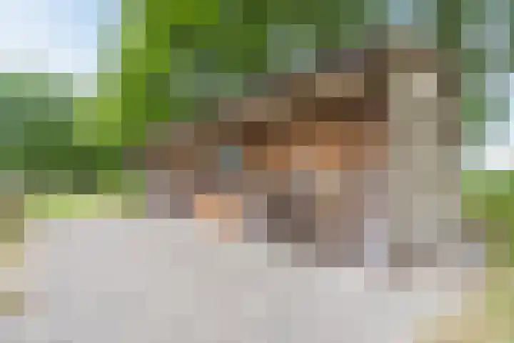Lijnland 2 Vledder thumbnail 42