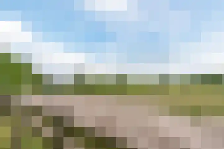 Lijnland 2 Vledder thumbnail 46
