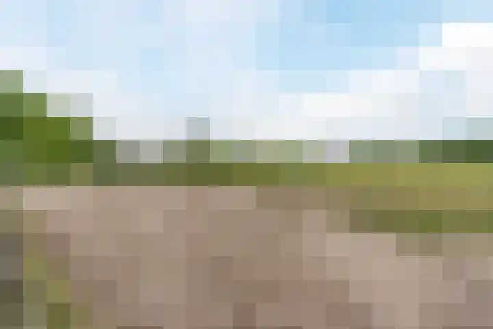 Lijnland 2 Vledder thumbnail 47