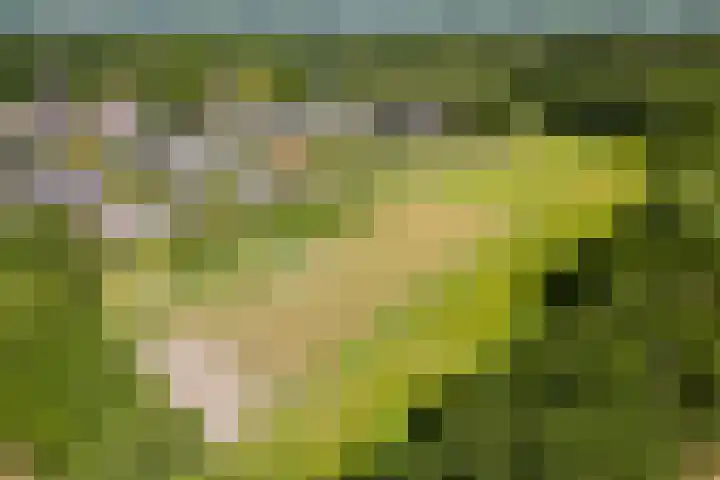 Lijnland 2 Vledder thumbnail 49