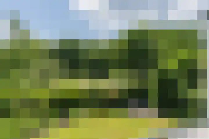 Lijnland 2 Vledder thumbnail 54