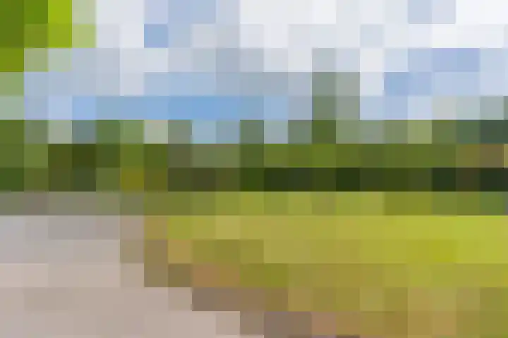 Lijnland 2 Vledder thumbnail 58
