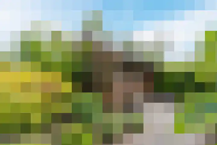 Lijnland 2 Vledder thumbnail 59