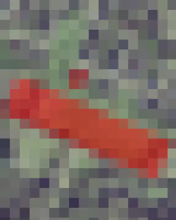 Lijnland 2 Vledder thumbnail 64