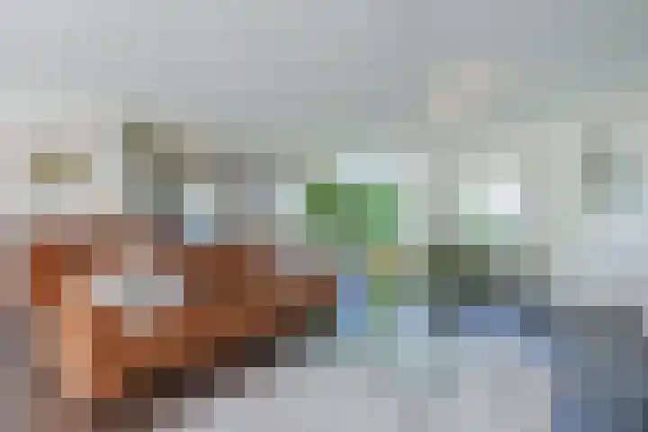 Lijnland 2 Vledder thumbnail 9