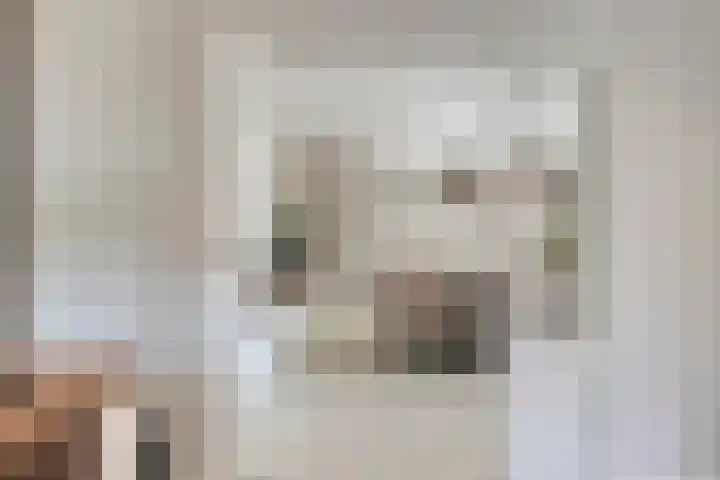 Lijntstraat 8 Bergeijk thumbnail 17