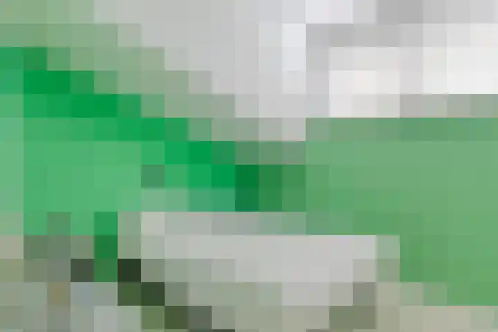 Lijntstraat 8 Bergeijk thumbnail 26