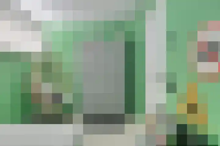 Lijntstraat 8 Bergeijk thumbnail 27