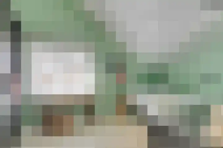 Lijntstraat 8 Bergeijk thumbnail 28