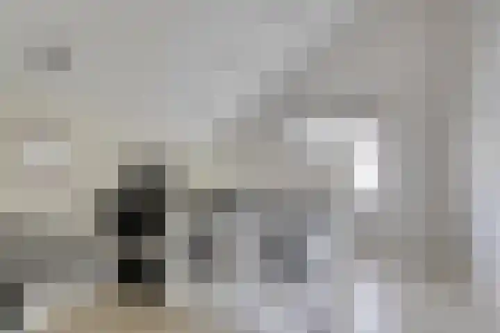 Lijntstraat 8 Bergeijk thumbnail 29
