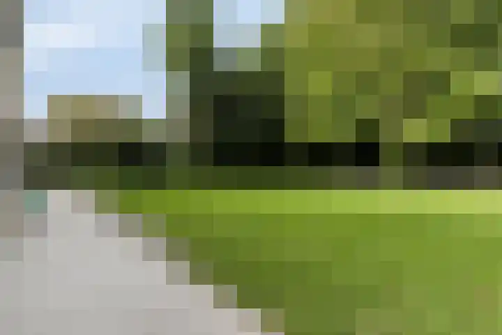 Lijntstraat 8 Bergeijk thumbnail 34