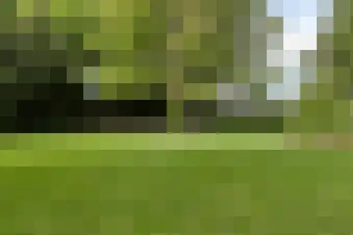 Lijntstraat 8 Bergeijk thumbnail 35
