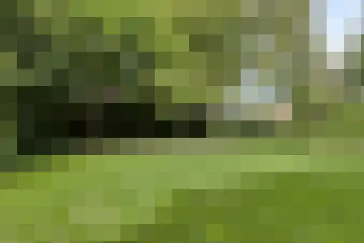 Lijntstraat 8 Bergeijk thumbnail 36