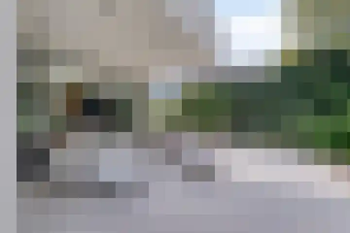 Lijntstraat 8 Bergeijk thumbnail 37