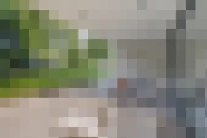 Lijntstraat 8 Bergeijk thumbnail 38