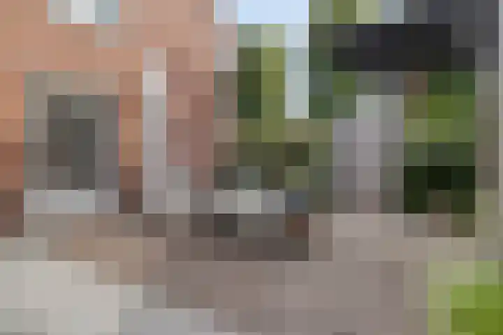 Lijntstraat 8 Bergeijk thumbnail 39