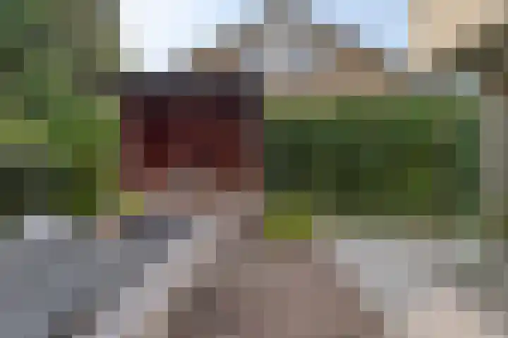 Lijntstraat 8 Bergeijk thumbnail 40