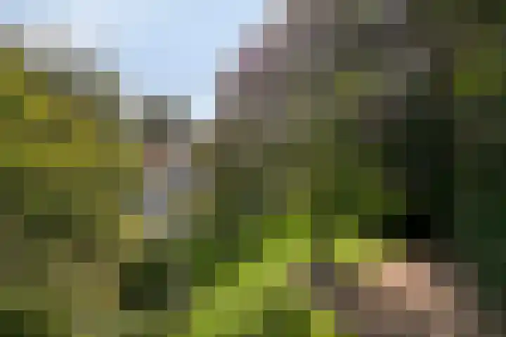 Lijntstraat 8 Bergeijk thumbnail 42
