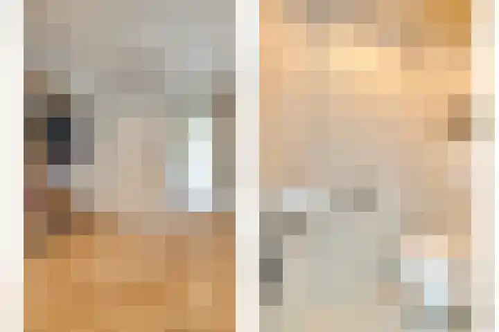 Lijntstraat 8 Bergeijk thumbnail 5