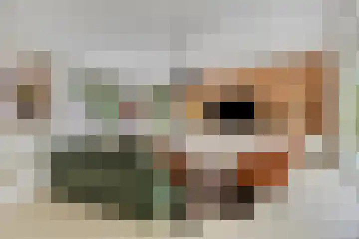 Lijntstraat 8 Bergeijk thumbnail 7
