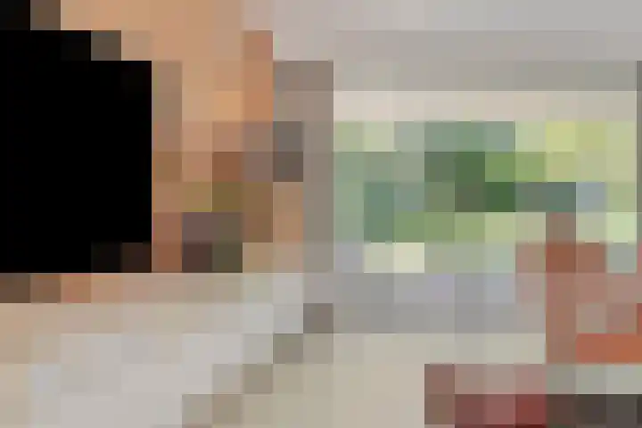 Lijntstraat 8 Bergeijk thumbnail 9