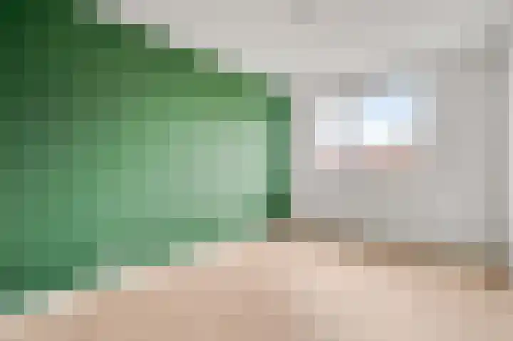 Lijster 15 Eijsden thumbnail 10