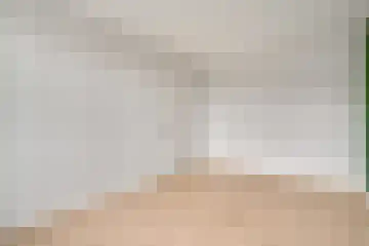 Lijster 15 Eijsden thumbnail 11