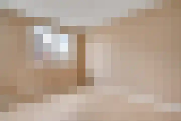 Lijster 15 Eijsden thumbnail 12