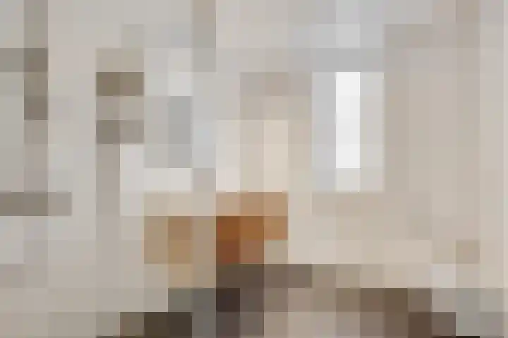 Lijster 15 Eijsden thumbnail 14