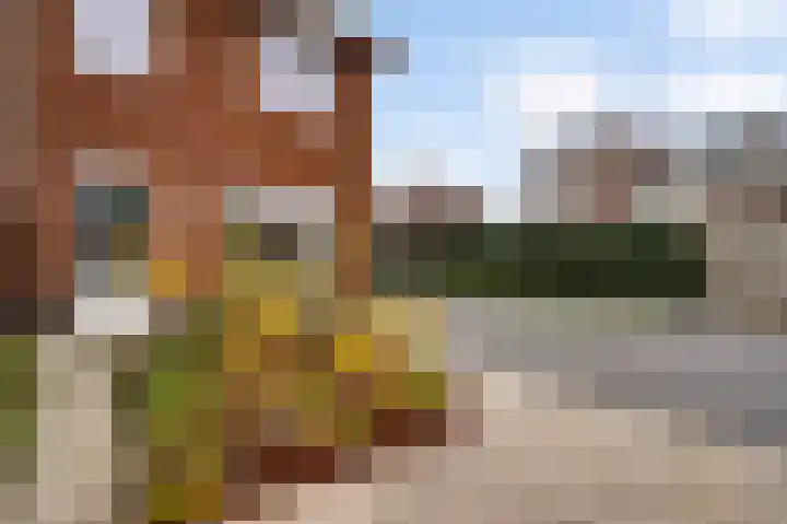 Lijster 15 Eijsden thumbnail 17