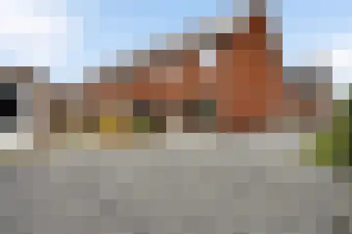 Lijster 15 Eijsden thumbnail 18