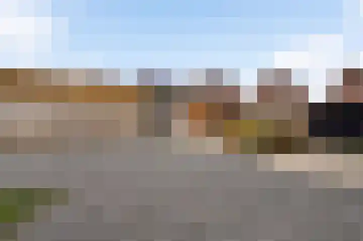 Lijster 15 Eijsden thumbnail 19