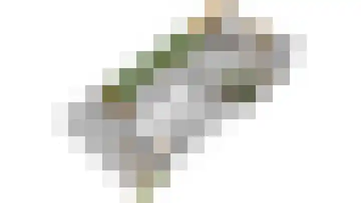 Lijster 15 Eijsden thumbnail 22