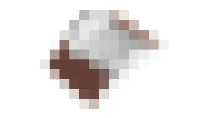 Lijster 15 Eijsden thumbnail 28