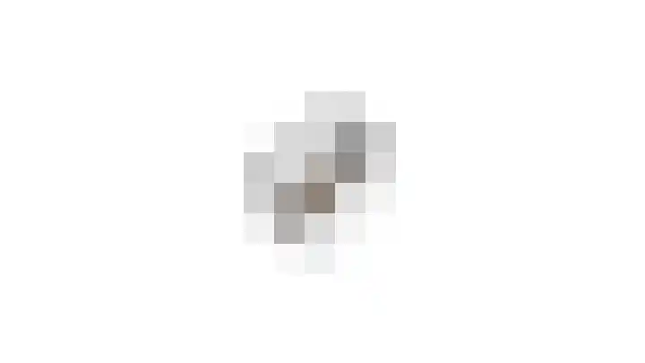 Lijster 15 Eijsden thumbnail 30