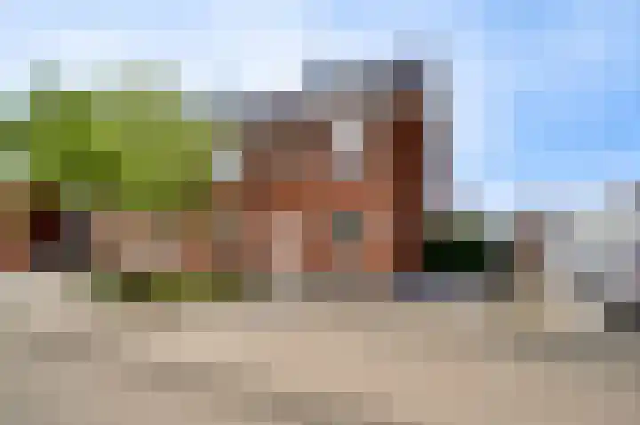 Lijster 16 Eijsden