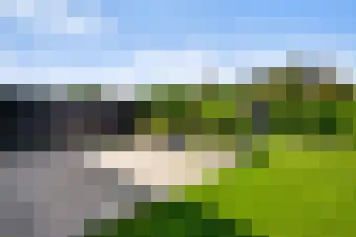 Lijster 16 Eijsden thumbnail 10