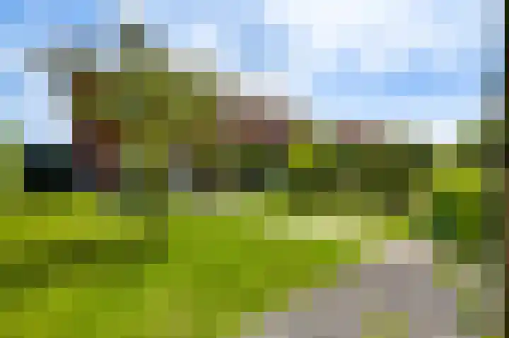Lijster 16 Eijsden thumbnail 11