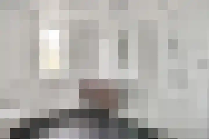 Lijster 16 Eijsden thumbnail 18