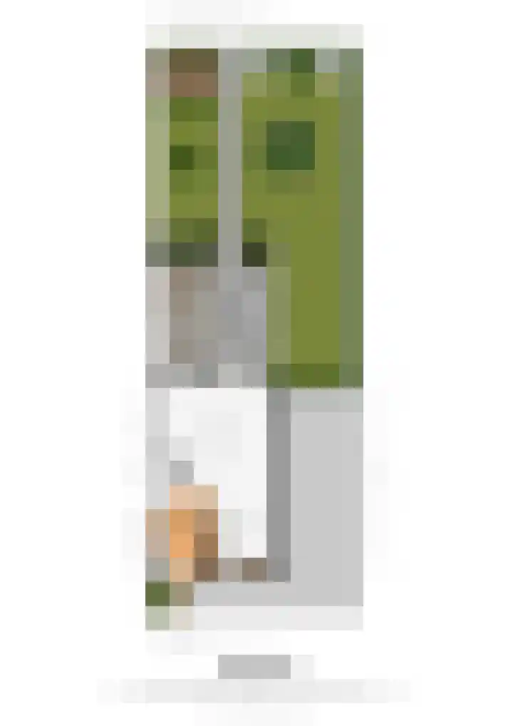 Lijster 16 Eijsden thumbnail 21