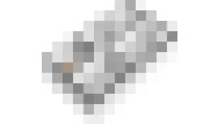 Lijster 16 Eijsden thumbnail 26